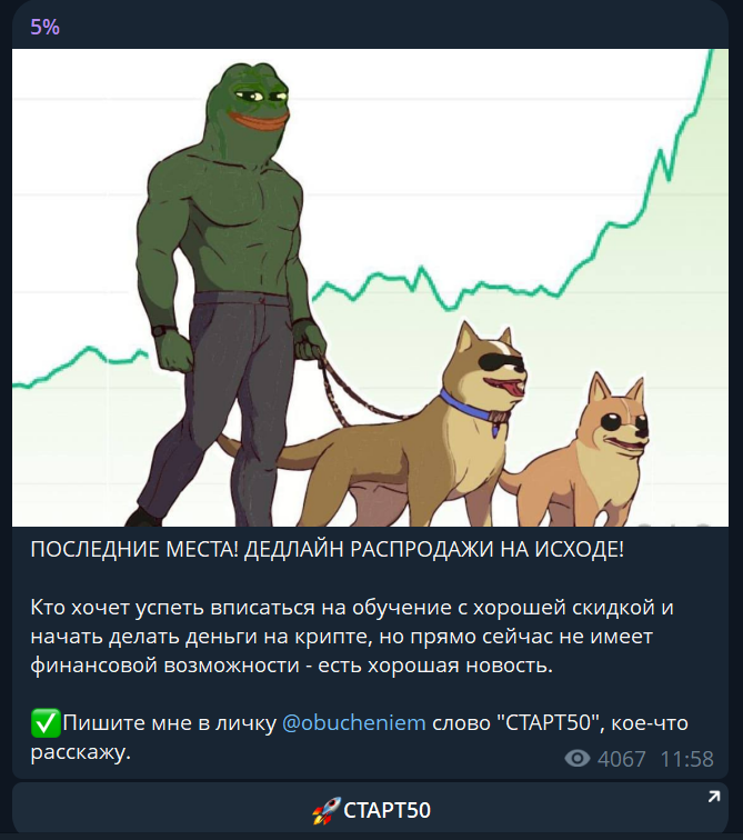 5% телеграмм канал