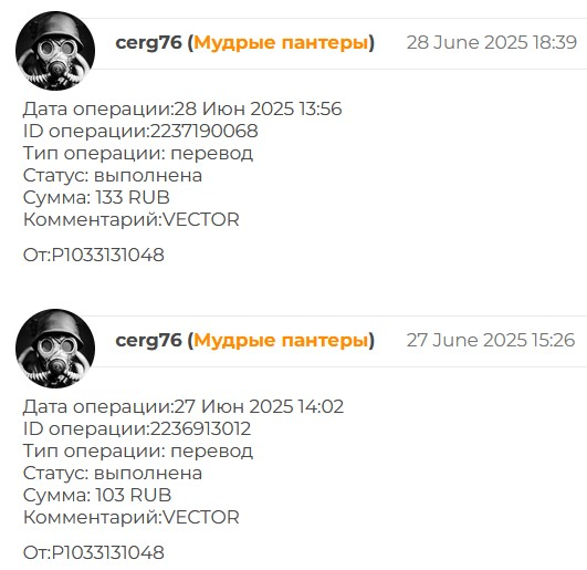 vector li заработок