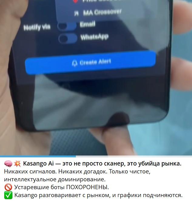kasongo bot kasongo bot