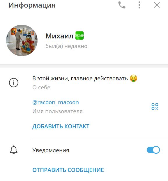 биржевая торговля racoon macoon