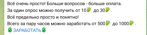 internetanketa