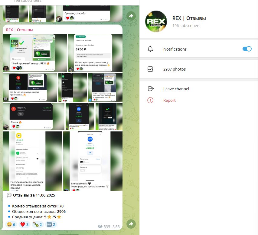 rex робот телеграм отзывы