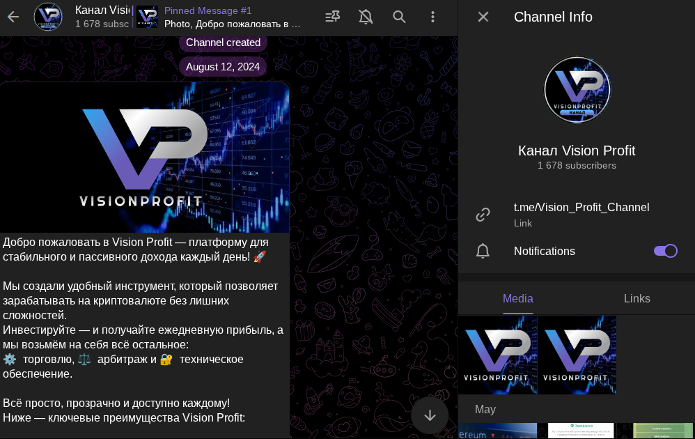 visionprofit отзывы