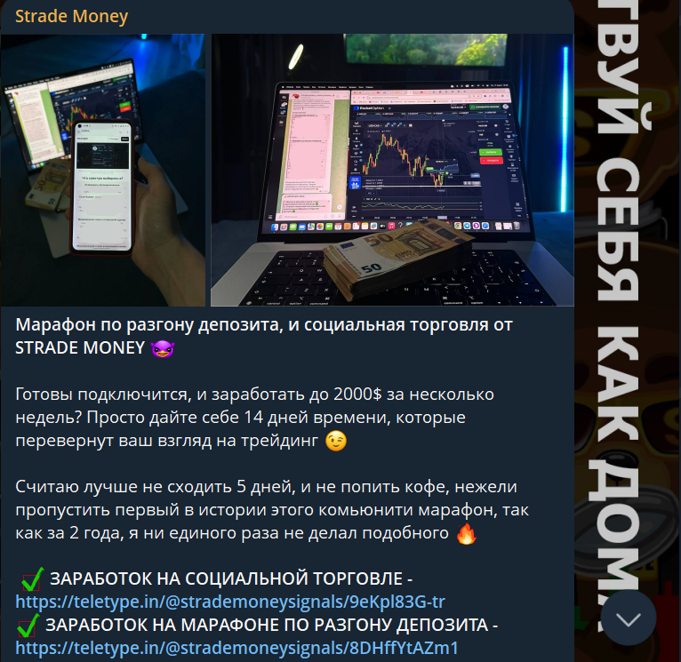 strade money разоблачение