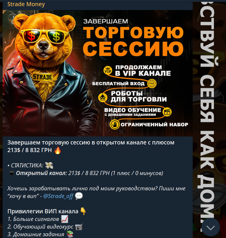 strade money vip отзывы