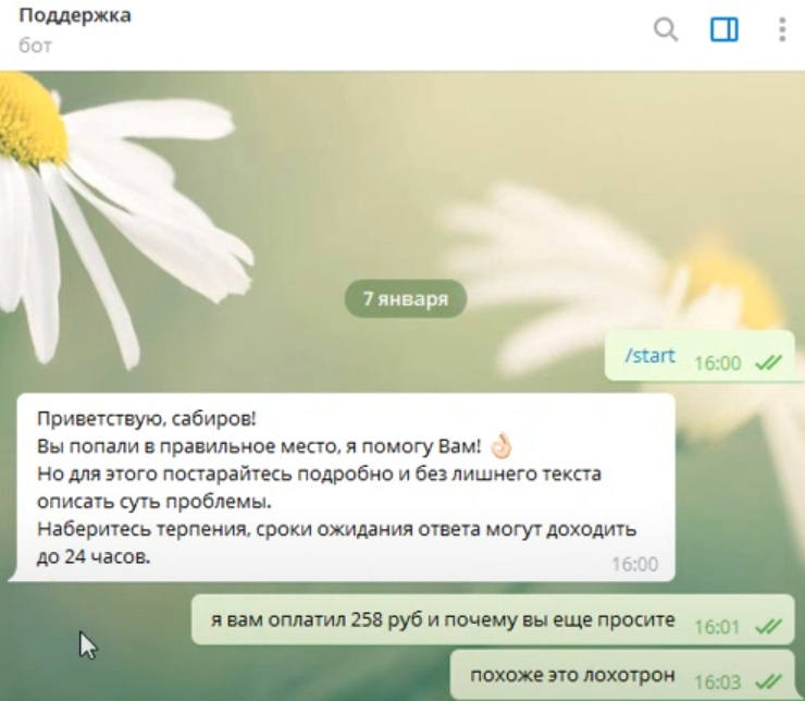 kypec bot