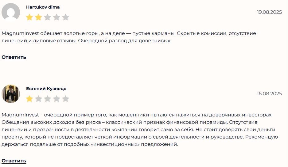 магнум инвест платформа магнум инвест платформа