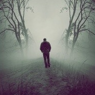 blogger-Алексей Дружинин
