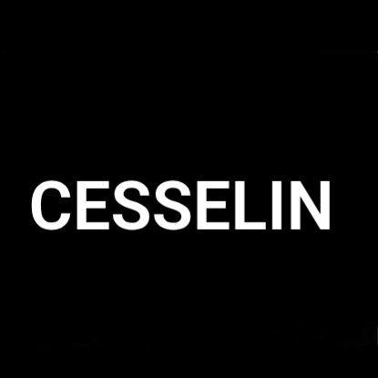 blogger-Cesselin 