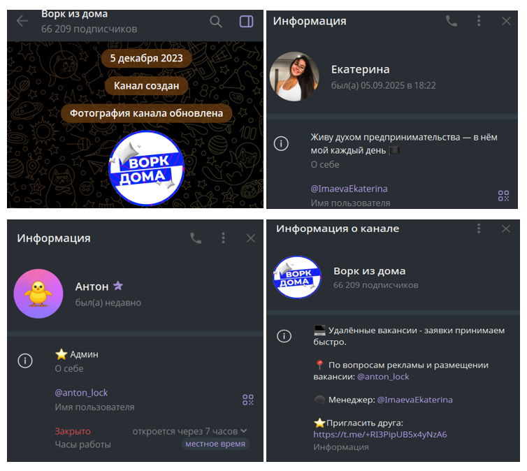 ворк из дома отзывы