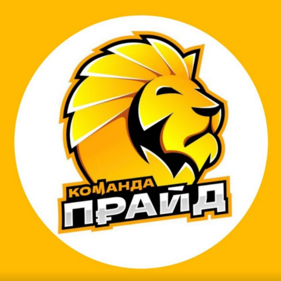 blogger-Команда прайд