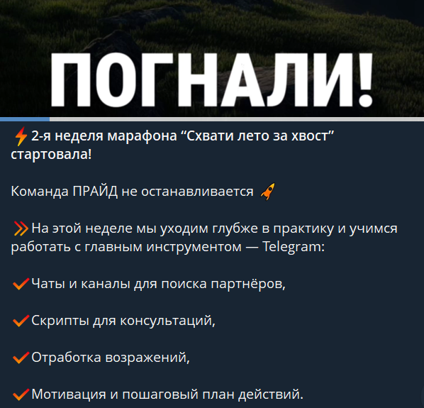 чем занимается команда прайд