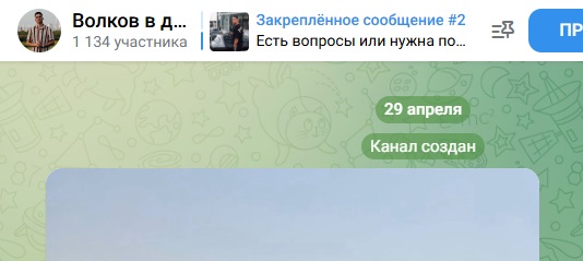волков в деле отзывы