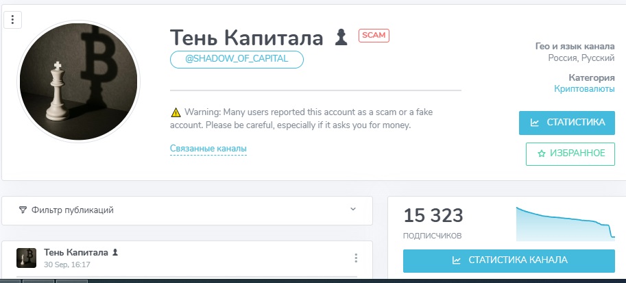 тень капитала