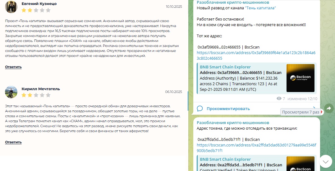 тень капитала телеграм