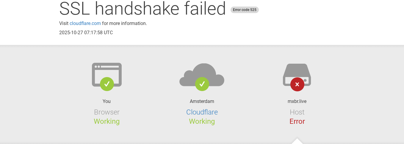 mxbr live отзывы