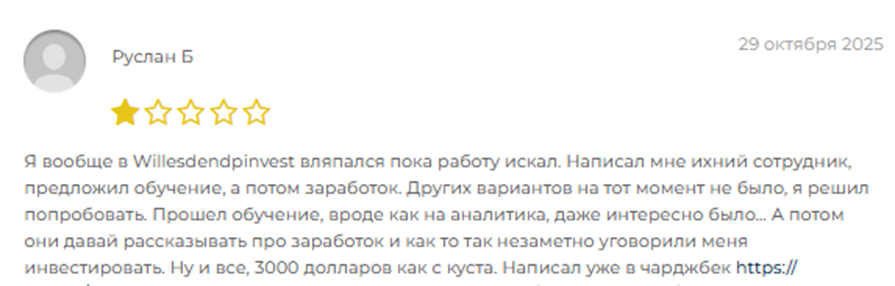 support willesdendpinvest pro