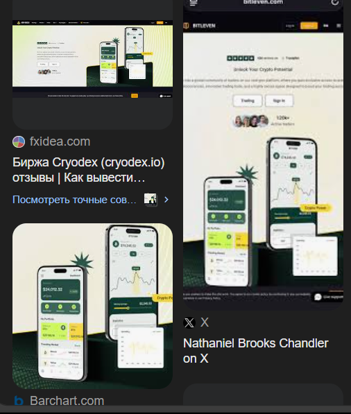 Coinscrapp отзывы