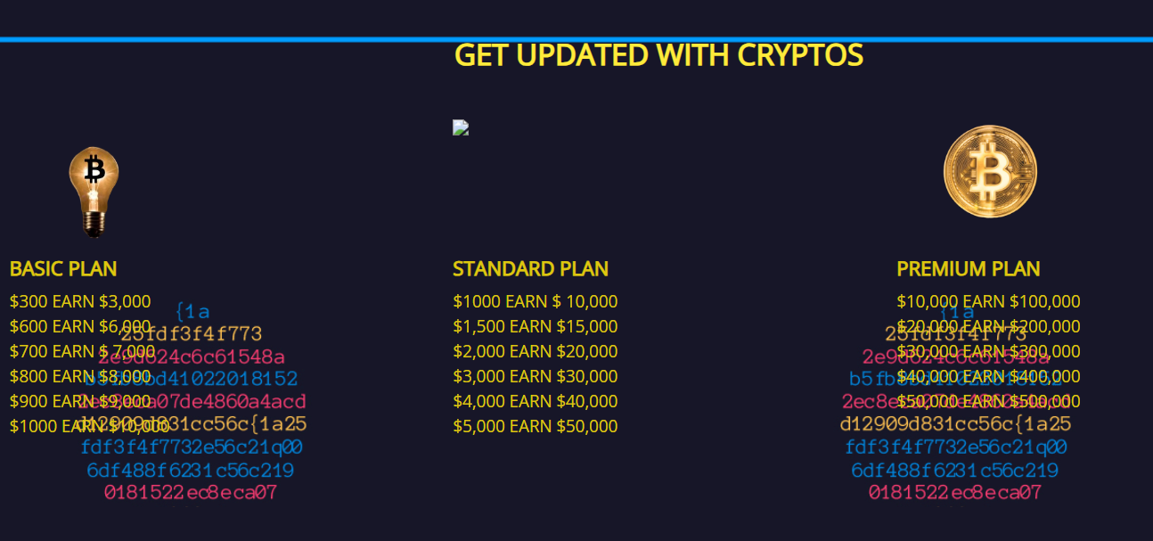 cryptobinarytrade vip