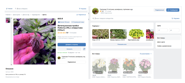 группа вегетативные черенки в телеграмм наталья отзывы