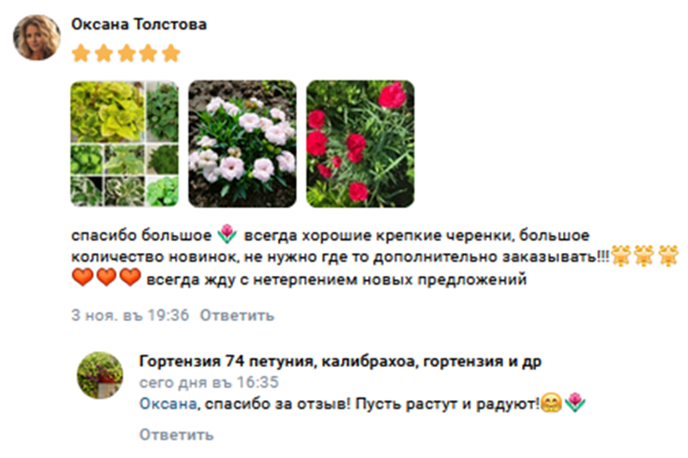 группа вегетативные черенки в телеграмм наталья отзывы