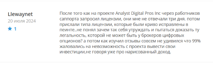 Analyst Digital Pros Inc