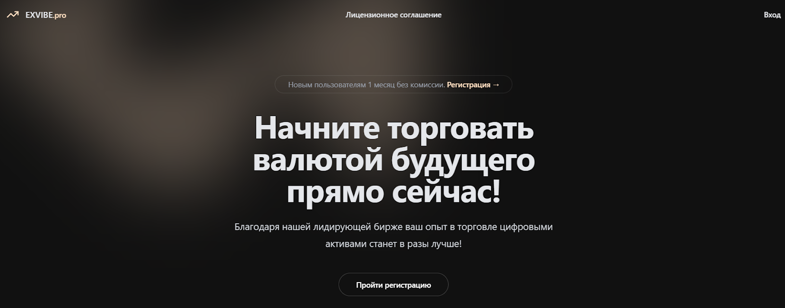 Exvibe Pro биржа отзывы