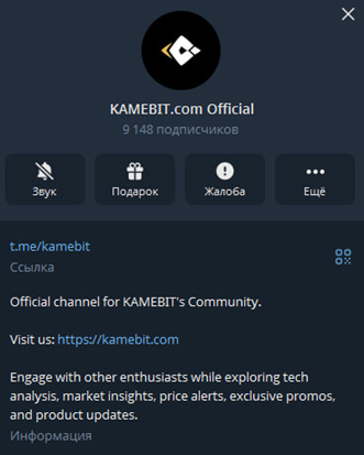 kamebit отзывы