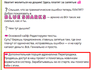 проект bs blue sharks