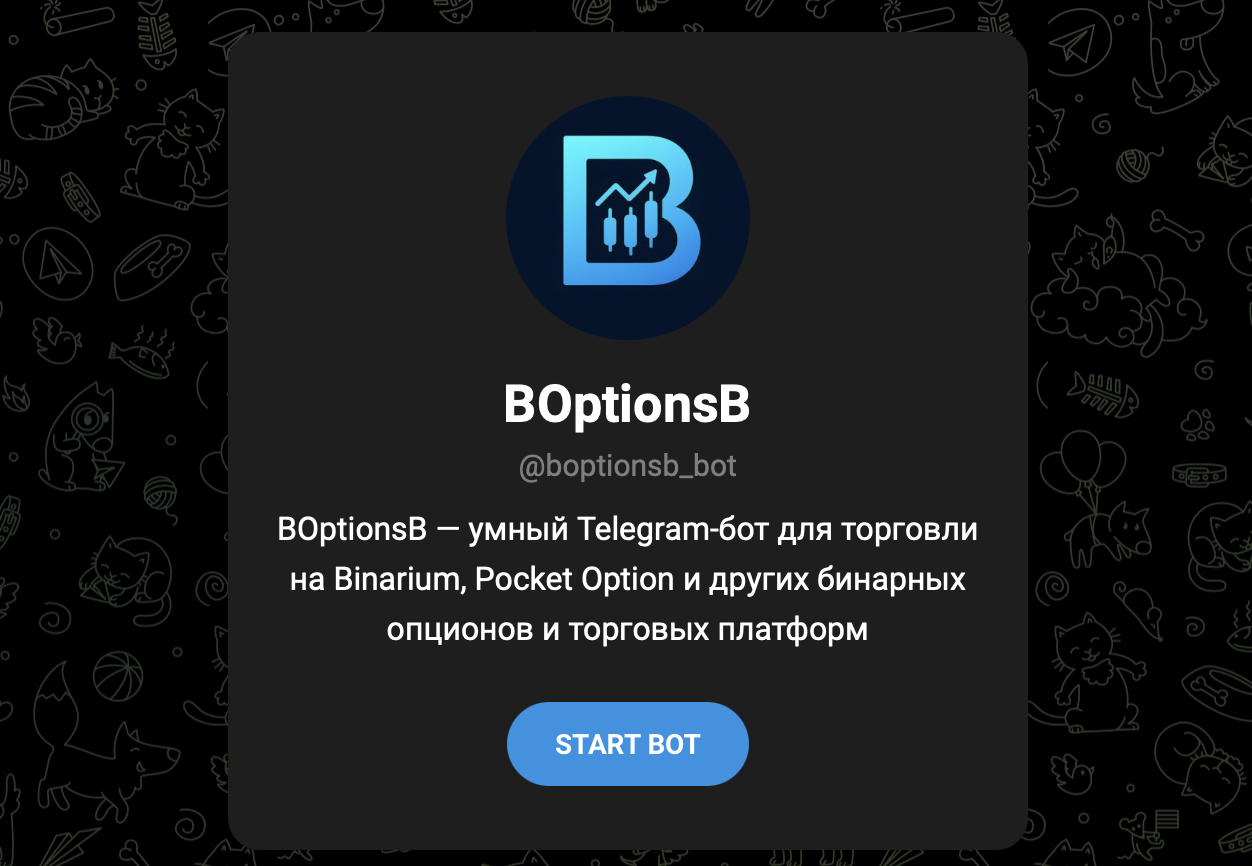 boptionsb отзывы
