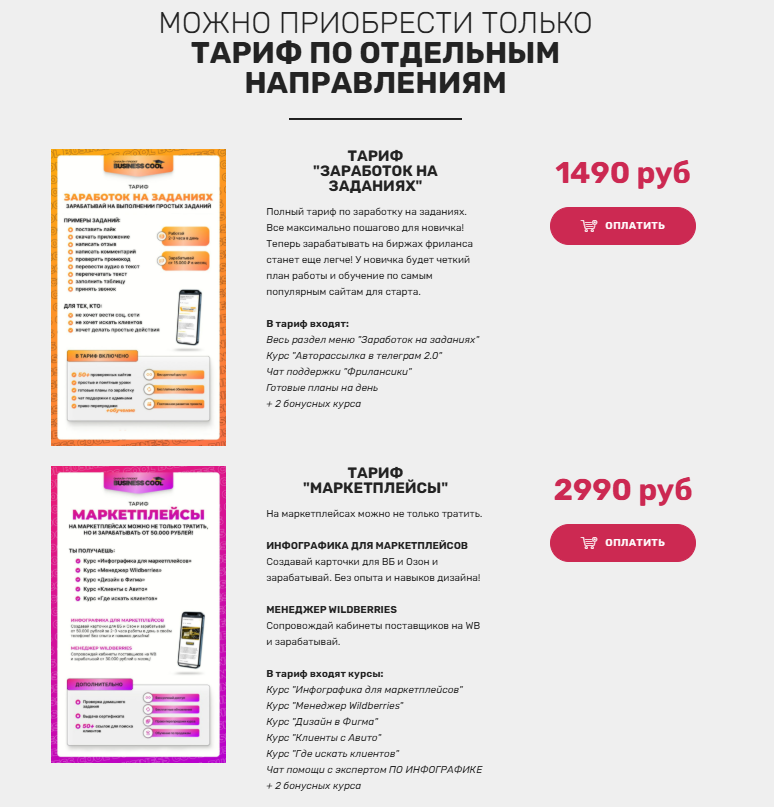 BUSINESS COOL платформа для заработка отзывы реальные