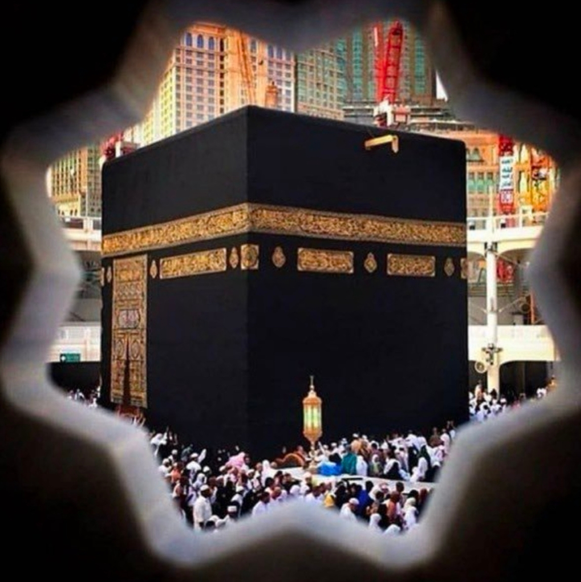 blogger-Динара Халяль