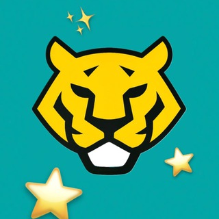 blogger-Tiger stars