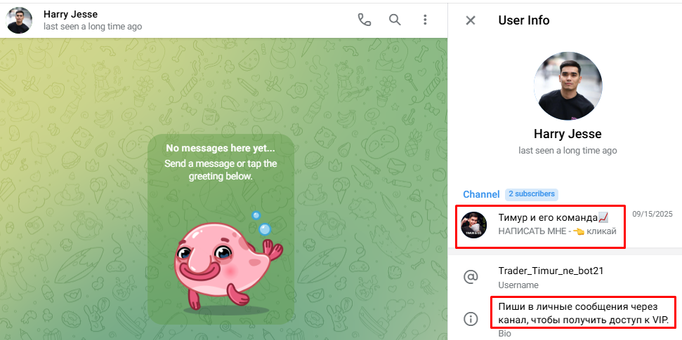 тимур и его команда телеграм