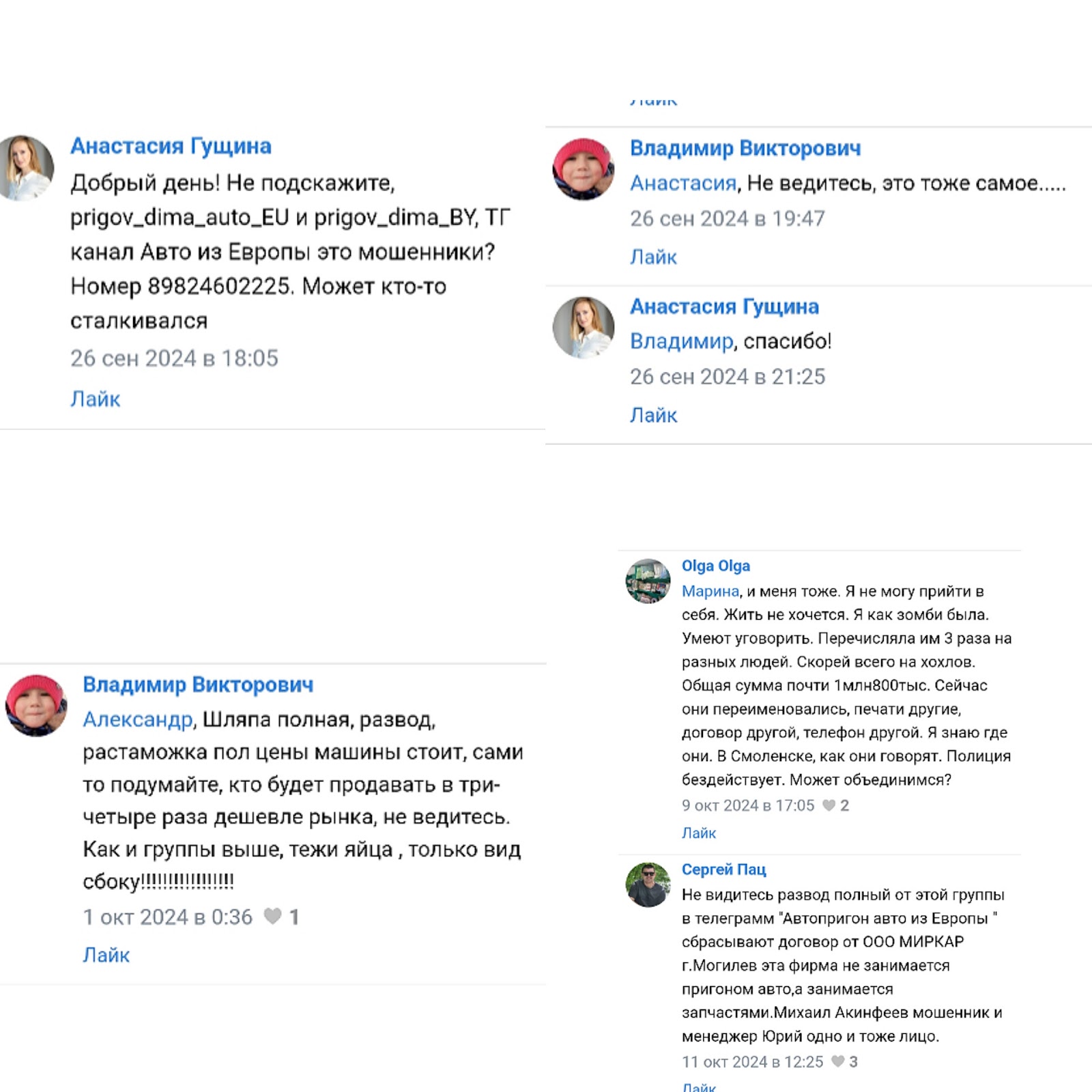 prigov dima by отзывы prigov dima by отзывы