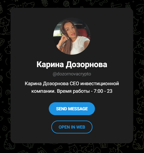 карина дозорнова инвестиции