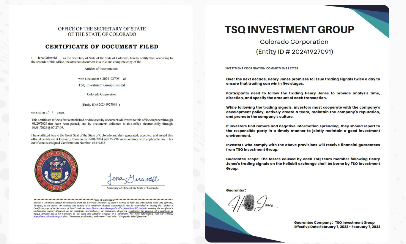 tsq investment group