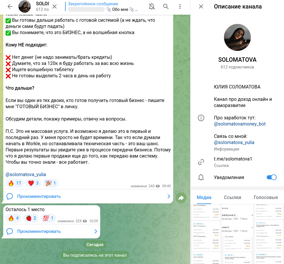 юлия соломатова онлайн заработок отзывы
