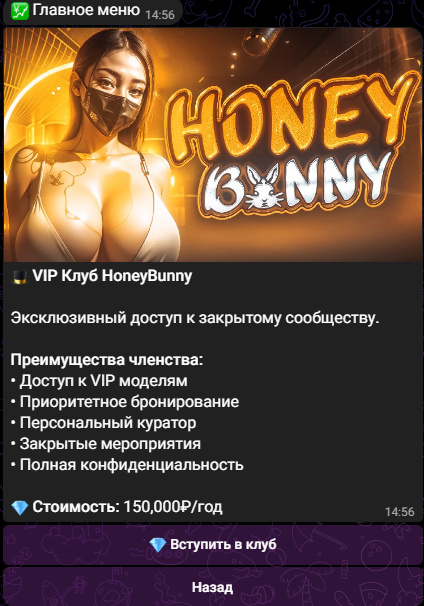 honey bunny телеграмм канал