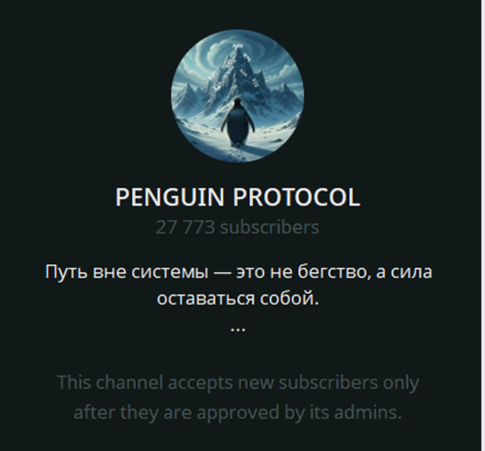 penguin protocol тг канал