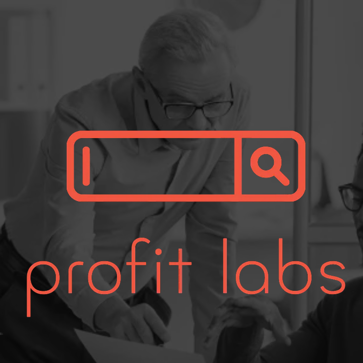 blogger-Profit Labs Online