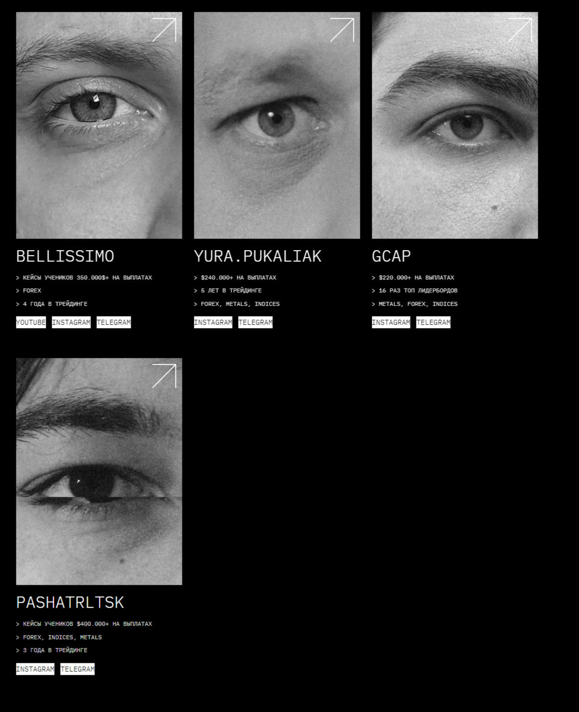 dark trader education