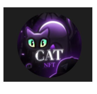 blogger-Cat nft