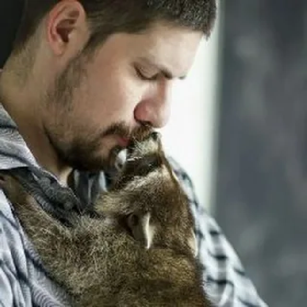 blogger-Transporter Spb