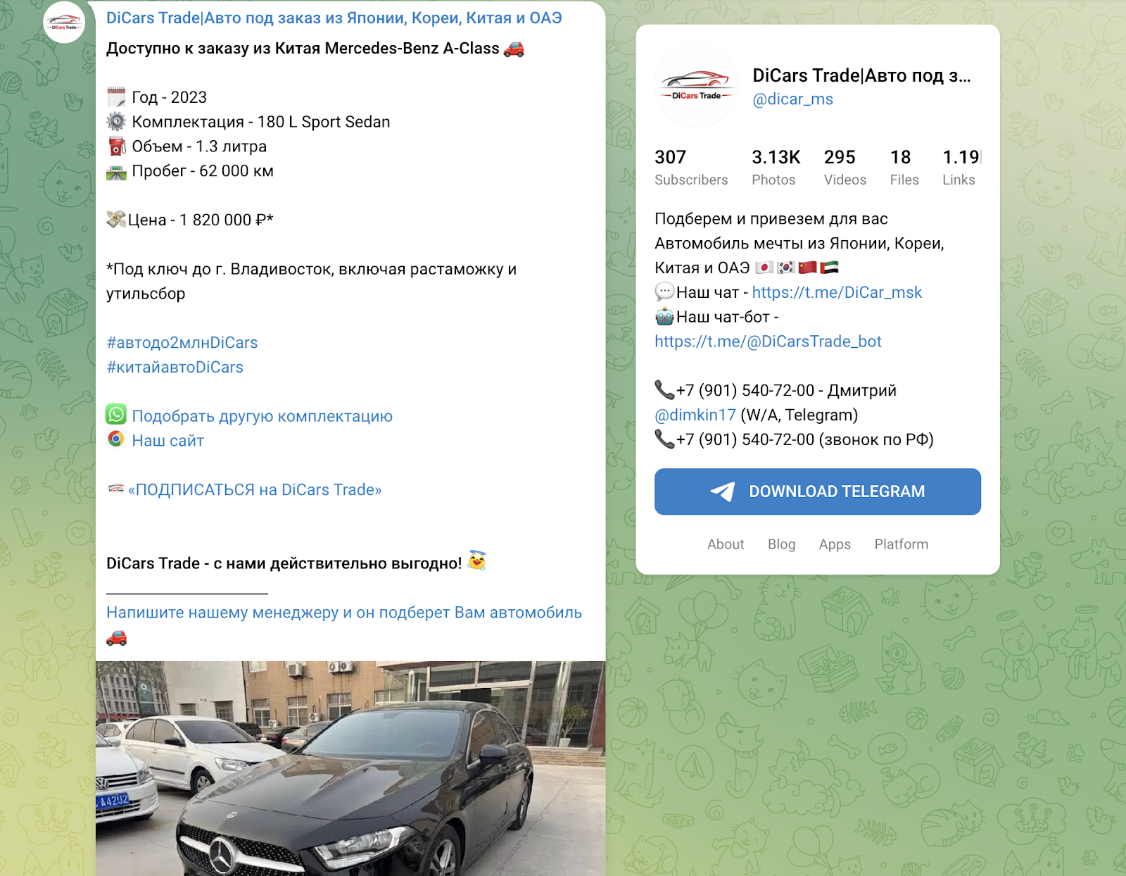 dicars trade отзывы