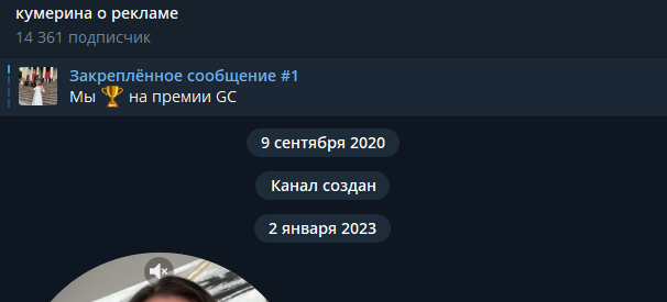 блоггер юлия кумерина курсы