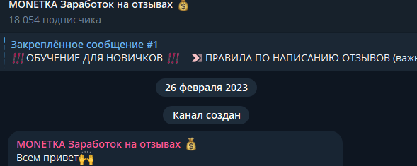 монетка заработок на отзывах тг