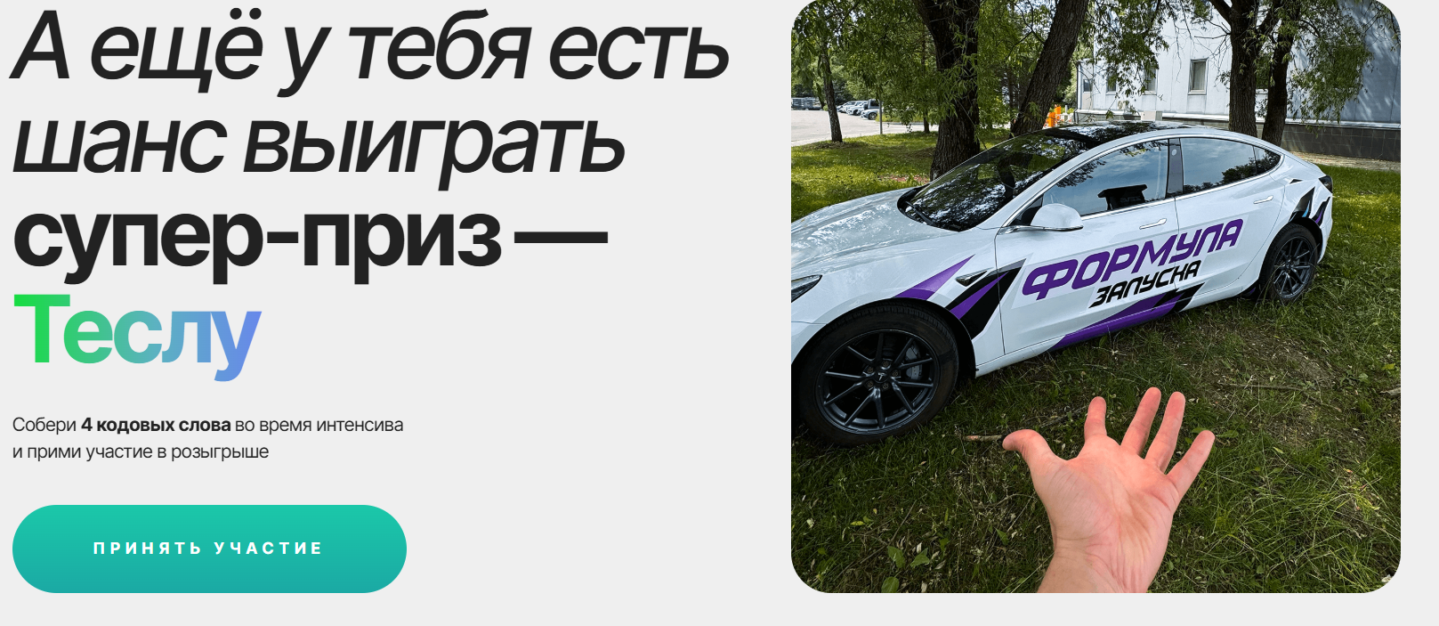 миша тимочко курс