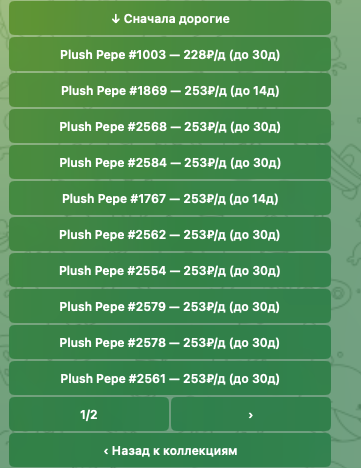 рафов старс