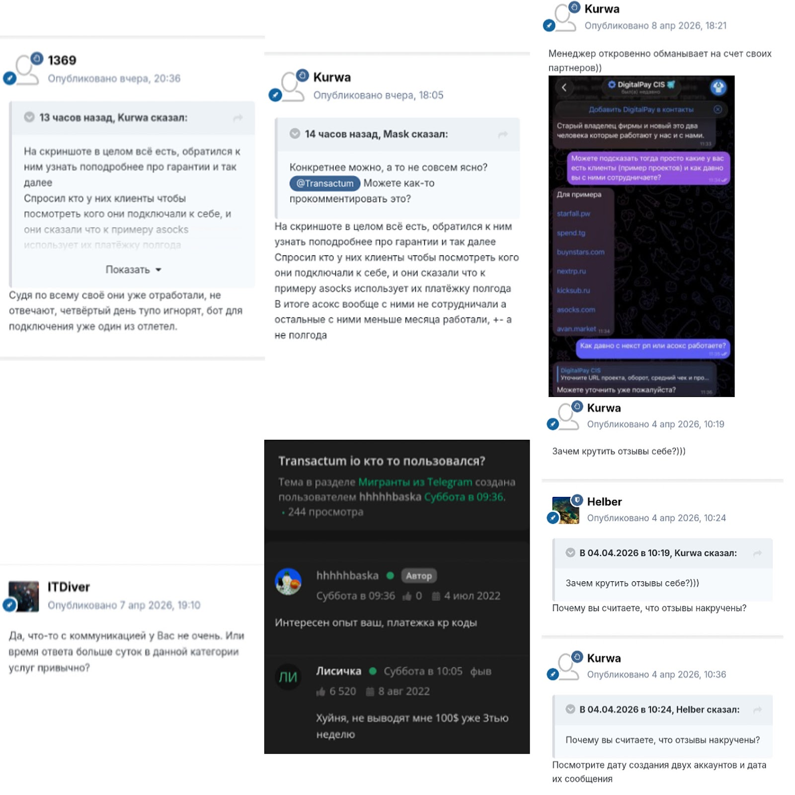 transactum отзывы